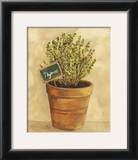 Buy Thymus at AllPosters.com