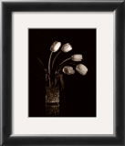 Buy Dramatic Tulips at AllPosters.com