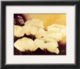 Buy Yellow Poppies I at AllPosters.com
