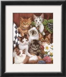 Kitties II