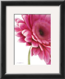 Buy Pretty In Pink at AllPosters.com