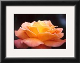 Buy Untitled at AllPosters.com