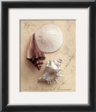 Buy Seaside Collection II at AllPosters.com