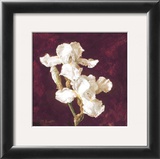 Buy Double Iris at AllPosters.com