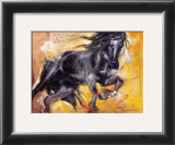 Buy Black Arabian Beauty at AllPosters.com