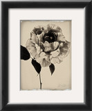 Buy Sepia Rose at AllPosters.com