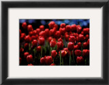 Buy Untitled at AllPosters.com