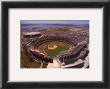 Oakland: Network Associates, Athletics Baseball