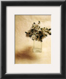 Cut Flowers II