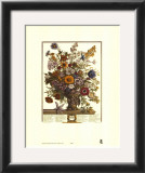 Twelve Months of Flowers, 1730, November