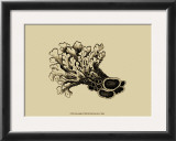 Buy Coral on Khaki II at AllPosters.com