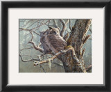 Buy Silent Forest (Great Horned Owls) at AllPosters.com