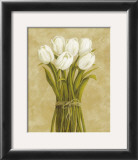 Buy White Tulips in String at AllPosters.com