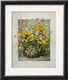 Buy Basket in Yellow at AllPosters.com