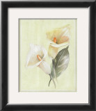 Buy Calla Lily IV at AllPosters.com