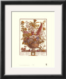 Twelve Months of Flowers, 1730, December