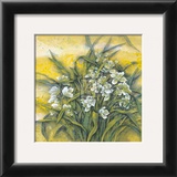 Buy White Orchids at AllPosters.com
