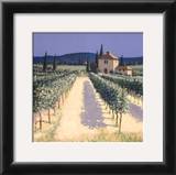 Buy Vineyard Shadows at AllPosters.com