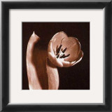 Open Tulip