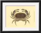 Buy Antique Crab IV at AllPosters.com