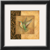 Buy Hummingbird Square at AllPosters.com
