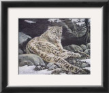 Buy Awake Snow Leopard at AllPosters.com