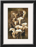 Buy Golden Calla Lilies at AllPosters.com