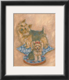 Terriers Framed Art Print