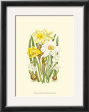 Buy Summer Garden I at AllPosters.com