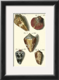 Buy Neptune's Treasure I at AllPosters.com