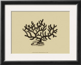 Buy Coral on Khaki III at AllPosters.com