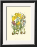Buy Summer Garden III at AllPosters.com