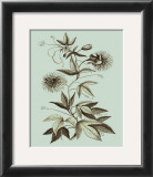 Buy Custom Imperial Munting III at AllPosters.com