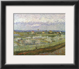 Orchard Framed Art Print