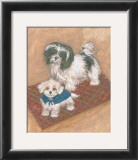 Kyo Leo Maltese Framed Art Print