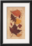 Buy Autumn Harvest I at AllPosters.com