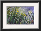 Buy Les iris at AllPosters.com