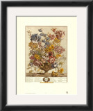 Twelve Months of Flowers, 1730, April