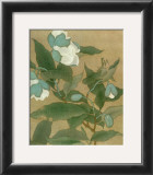 Magnolia and Praying Mantis
