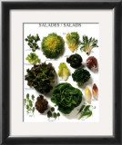 Buy Salads at AllPosters.com