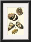 Buy Neptune's Treasure II at AllPosters.com