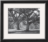 Oak Grove I
