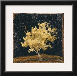 Buy Jap Maple XIII at AllPosters.com