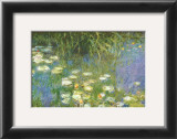 Water Lilies of the Orangerie as Giverny