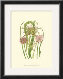 Buy Summer Garden VI at AllPosters.com
