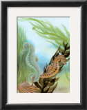 Buy Seahorse Serenade IV at AllPosters.com
