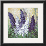 Buy Larkspur in Blues at AllPosters.com