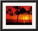 Buy Hawaiian Sunset at AllPosters.com