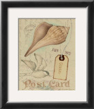 Buy Postcard Shells IV at AllPosters.com