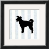 Buy Pumi in Neutral at AllPosters.com